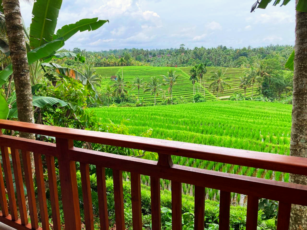 Paddy Terrace Bungalow