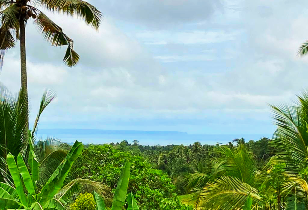 1-TropicalGardenBungalow