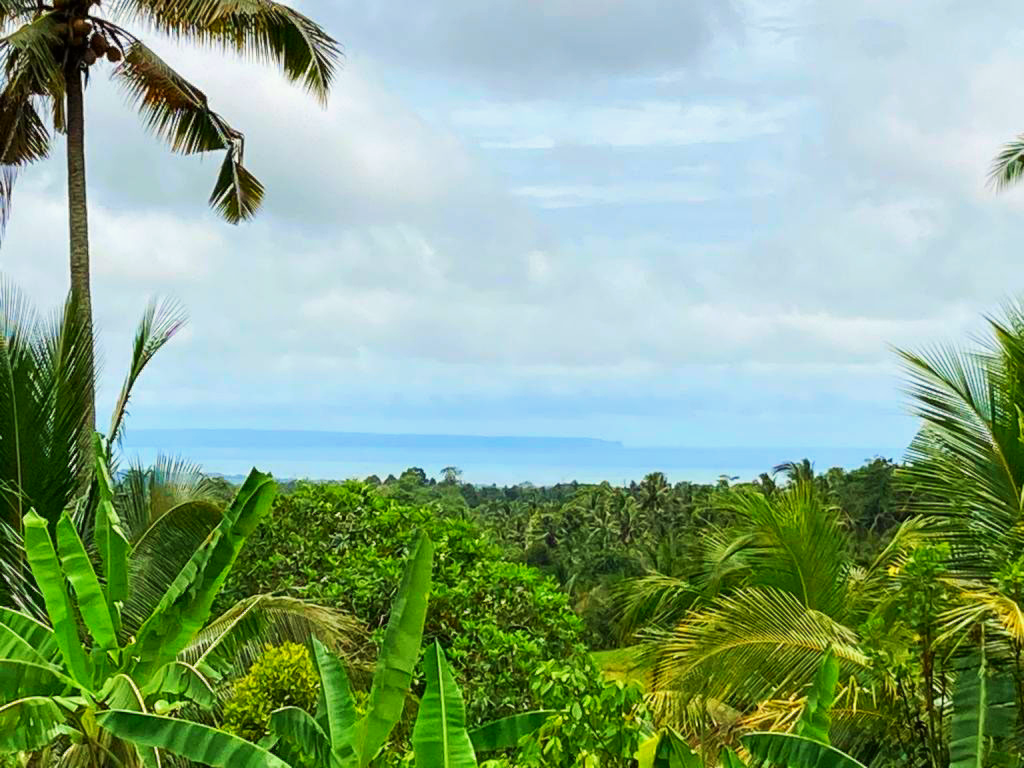 Tropical Garden Bungalow