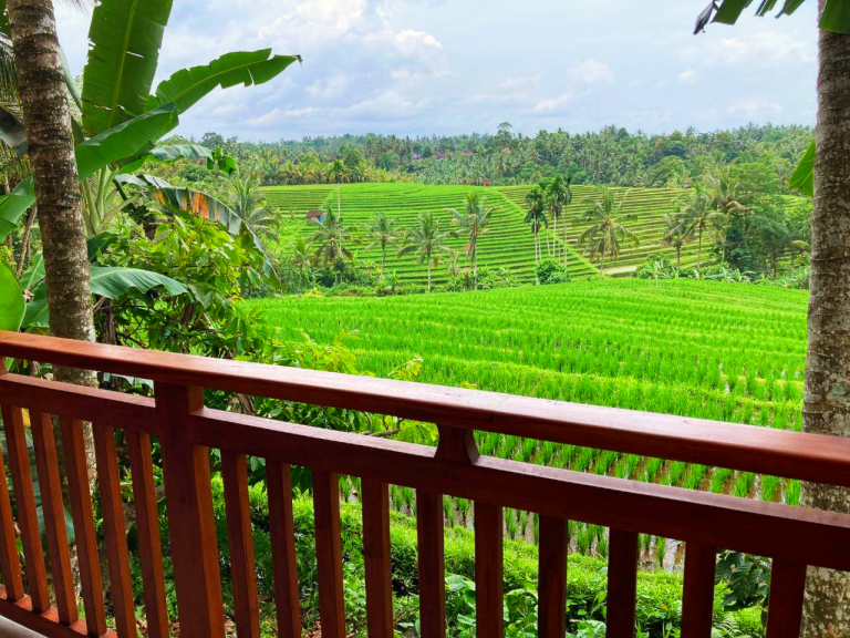 12-PaddyTerraceBungalow