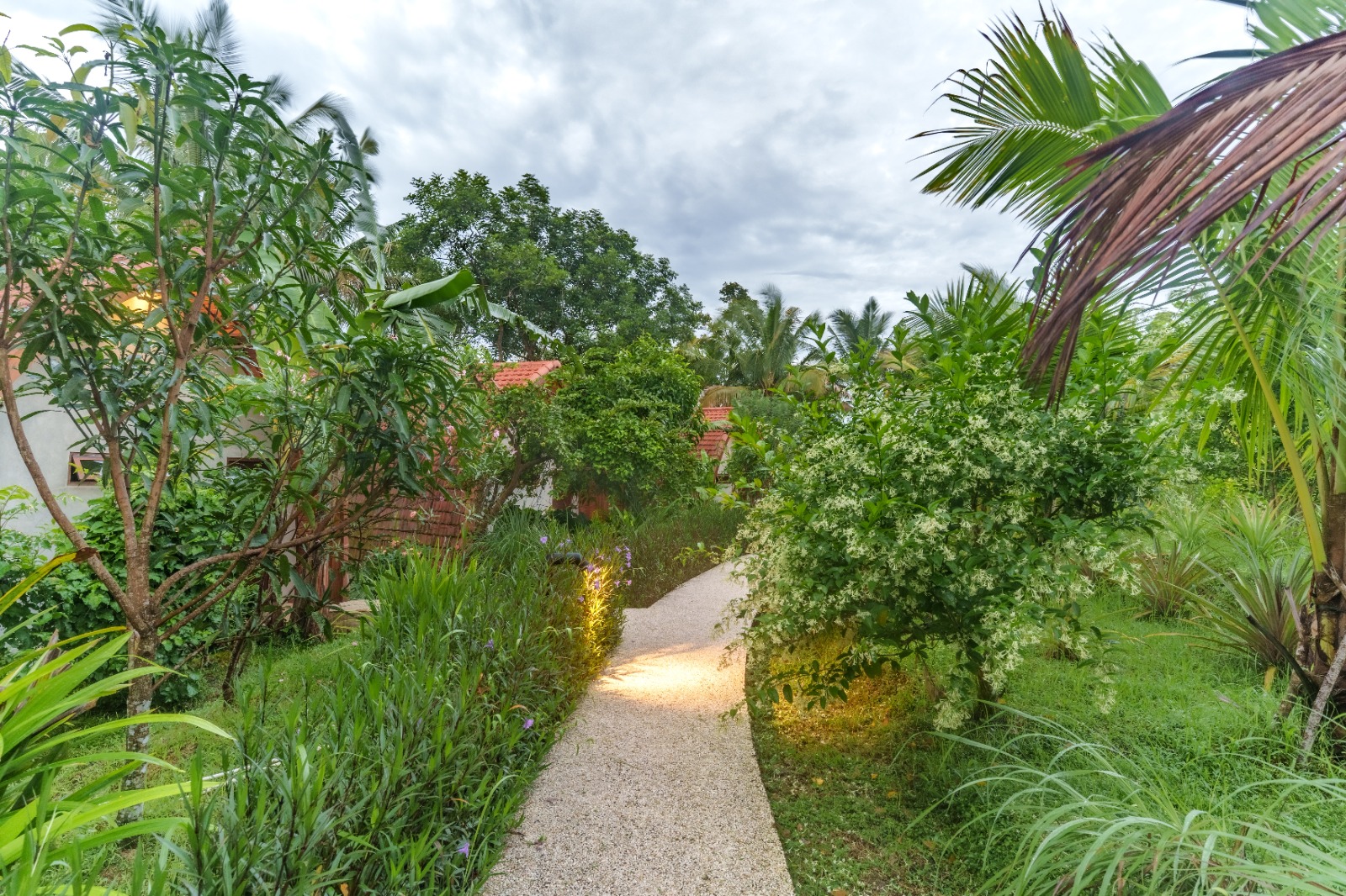 Paddy Terrace Bungalow